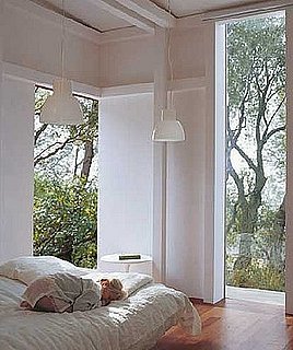 Midday Muse:  Let Summer Provide Your Color