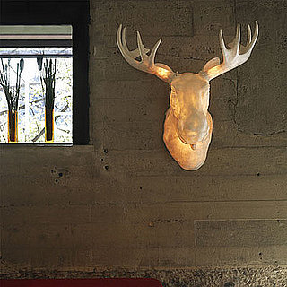 Love It or Hate It? Moo Light