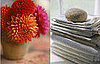 Midday Muse:  Seasonal Decorating