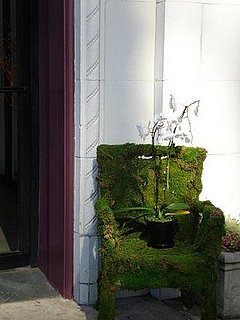 How-To:  Create a Moss Chair