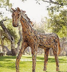 Would You Pasture This Pony in Your Garden? Would You Pasture This Pony in Your Garden?