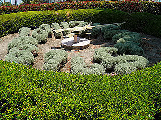 Cool Idea:  Topiary Clock 
