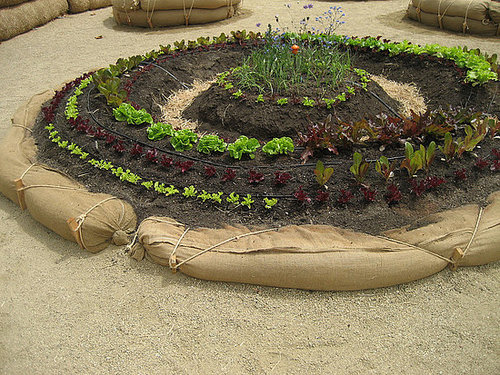 Cool Idea:  Gardening With Rice Wattles