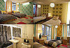 This Just In:  More Interiors from Project Runway