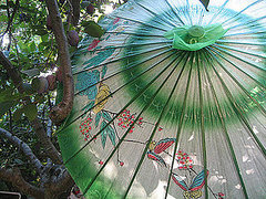 Midday Muse: Parasol and Plums