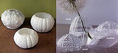Summer Style: Sea Urchins Vase and Votive Holder Summer Style: Sea Urchins Vase and Votive Holder