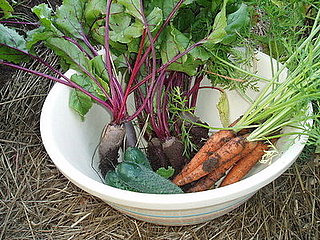 Show Me Your Summer Garden and Su Casa!