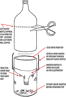 DIY: Organic Fly Trap