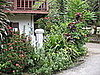 Home Away From Home: A Garden Tour in Laos