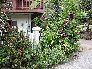Home Away From Home: A Garden Tour in Laos