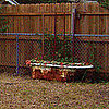 Before and After: From Backyard Planter to Bathroom Centerpiece