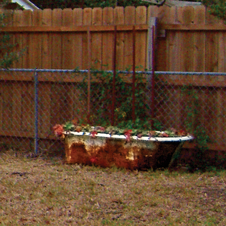 Before and After: From Backyard Planter to Bathroom Centerpiece