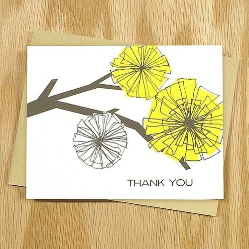 The Card Shop: Thank-You Cards From Two Trick Pony
