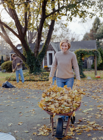 Where Do You Put Your Leaves?