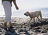 Ask Casa: A Sand-Friendly Vacuum