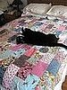 DIY:  The Lotus Brick Path Quilt