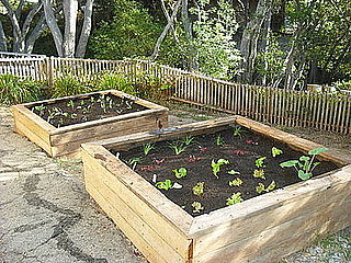 Garden Therapy:  New Garden Boxes From Old Wood