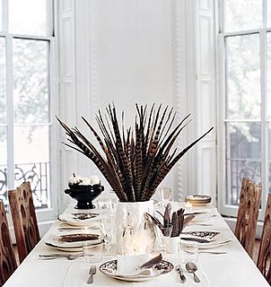 Midday Muse: Fantastic Pheasant Feathers