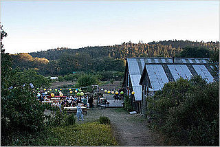 Would You Get Married on a Farm?