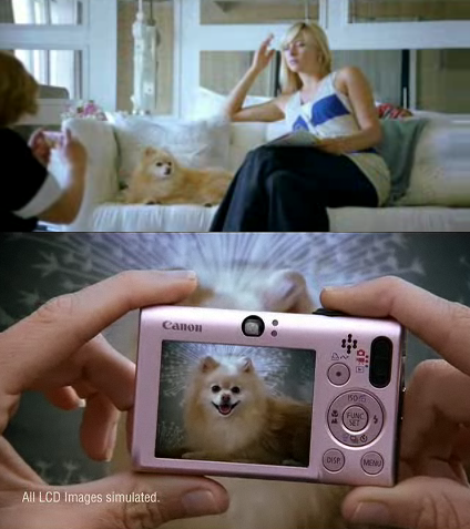 Found It! Maria Sharapova's Snap-Worthy Pillow