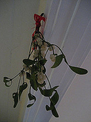 Do You Hang Mistletoe? Do You Hang Mistletoe?