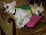 Hi! We're new!