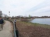 imagine this with tons of leaves and trash.