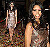 Freida Pinto in Zac Posen Metallic Dress at 61st Annual Directors Guild Awards