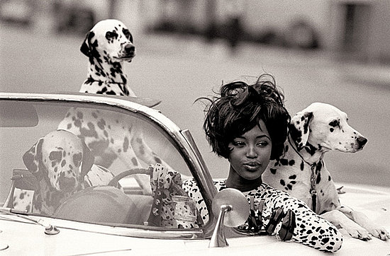Photographs of The Model as Muse Exhibition at the Metropolitan Museum of Art in New York