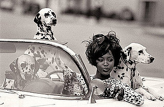 Photographs of The Model as Muse Exhibition at the Metropolitan Museum of Art in New York