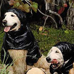 Montcler Shows Off Shiny Jackets With Help From a Few Dogs 