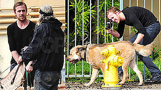 Photos of Ryan Gosling Filming His Dog and Talking to Vietnam Vet in LA