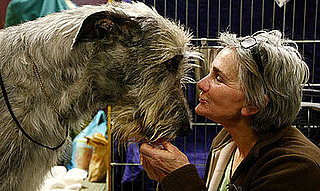 PetSugar Weekly Recap 2009-02-14 03:00:53