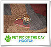 Pet Pics on PetSugar 2009-02-18 09:30:32