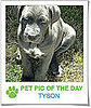 Pet Pics on PetSugar 2009-02-17 09:30:56