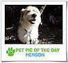 Pet Pics on PetSugar 2009-03-05 09:30:50