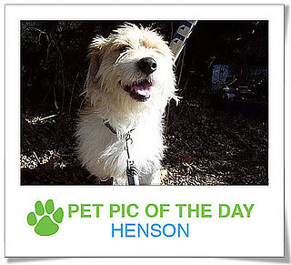 Pet Pics on PetSugar 2009-03-05 09:30:50