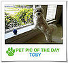 Pet Pics on PetSugar 2009-03-12 09:30:39