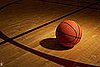 Computer Predicts Winner of 2009 NCAA Tournament