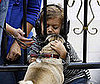 Pugs and Kisses