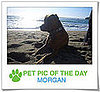 Pet Pics on PetSugar 2009-03-30 09:30:38