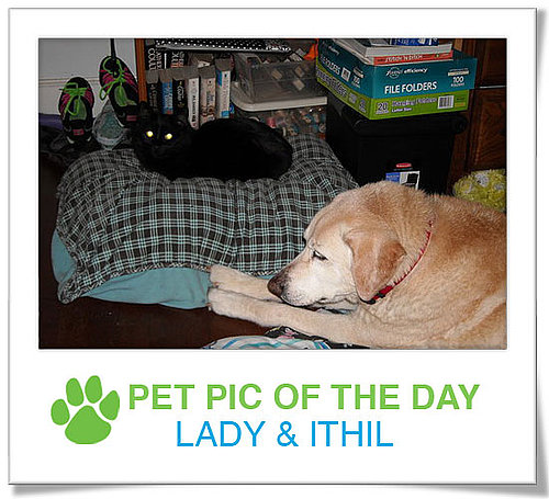 Pet Pics on PetSugar 2009-04-13 09:25:00