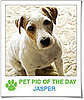 Pet Pics on PetSugar 2009-04-17 09:00:14