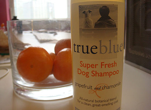True Blue Grapefruit and Chamomile Dog Shampoo Review