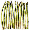 Why Does Asparagus Affect Your Urine?