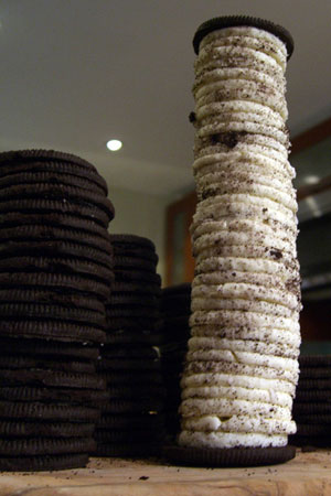 This is Why You're Fat Website This is Why You're Fat Website