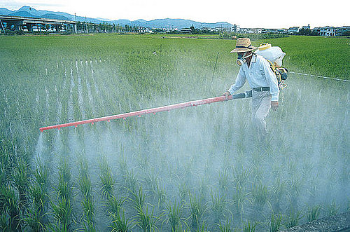Environmental Working Group's Printable Pesticide Produce List