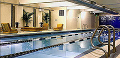 Rotate Entire Torso When Swimming Freestyle