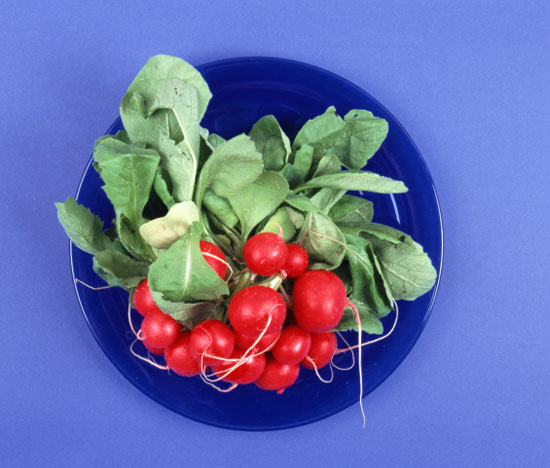 Radishes Radishes