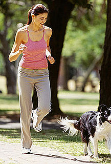Tips For Running With Your Dog